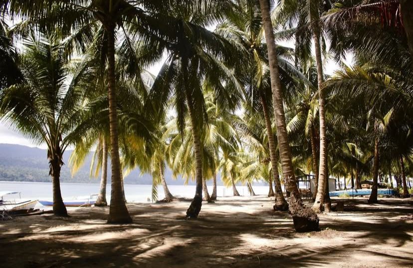 Bukan Kaleng-kaleng! Berau Sulap Pulau Kaniungan Jadi Destinasi Wisata Premium Bertaraf Internasional