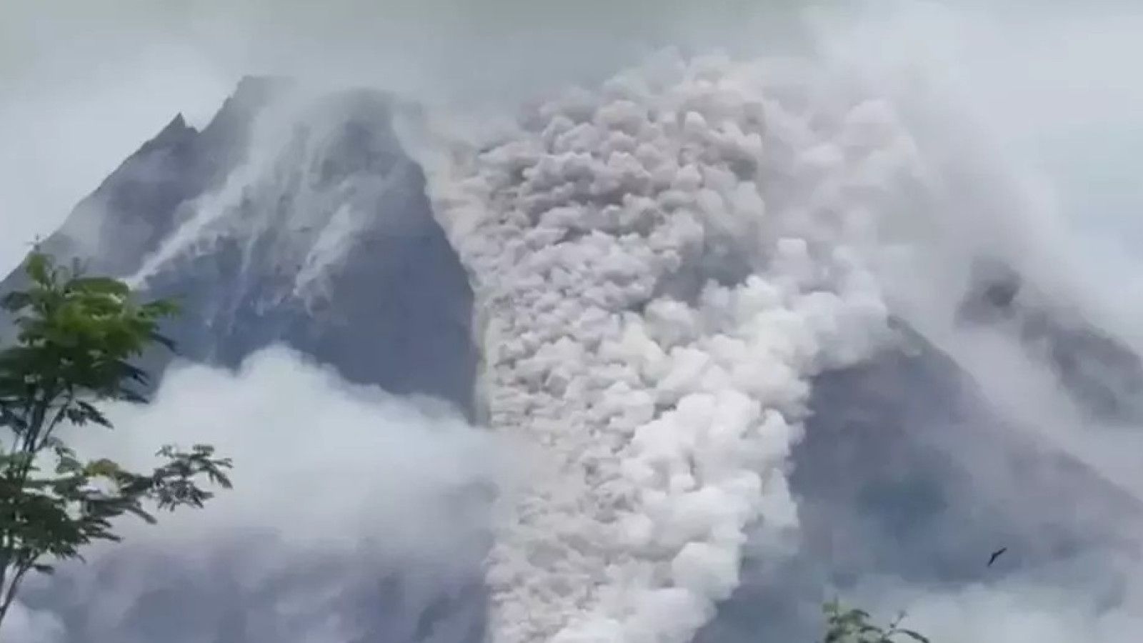 Erupsi Gunung Merapi Menghempaskan Awan Panas, Wisatawan Terjepit dalam Kepanikan