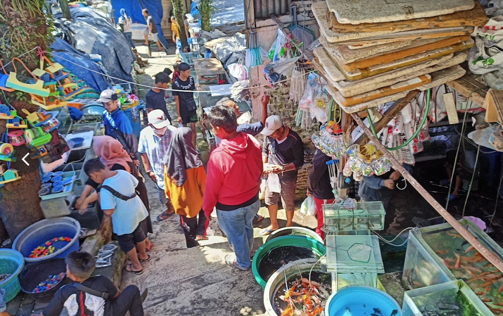 Pasar Burung Splendid Malang, Wisata Tradisional di Jantung Kota yang Tak Pernah Sepi