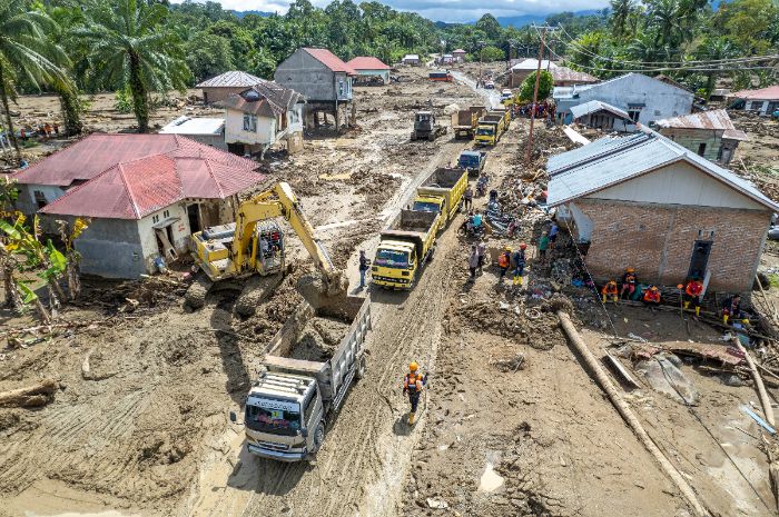 Bukan Cuma Infrastruktur, BRIN Tekankan Aspek Sosial dan Kependudukan Bantu Pemulihan Pasca Bencana