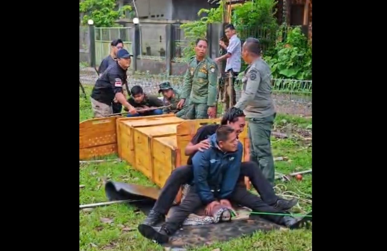 Buaya Yang Muncul Saat Banjir Bantar Gerbang Dilepasliarkan Ke Pulau Panaitan TNUK