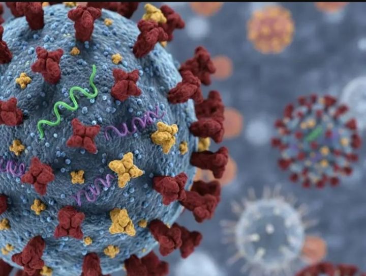 Kemenkes: Influenza A(H3N2) Subclade K Tidak Lebih Parah, Situasi Nasional Masih Terkendali