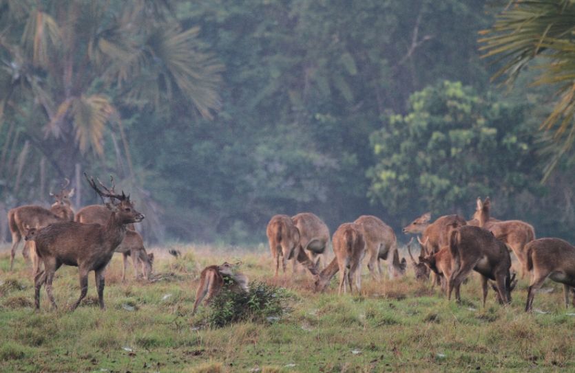Punya Indeks Udara Terbersih, Pemkab Banyuwangi Bidik Potensi Wellness Tourism