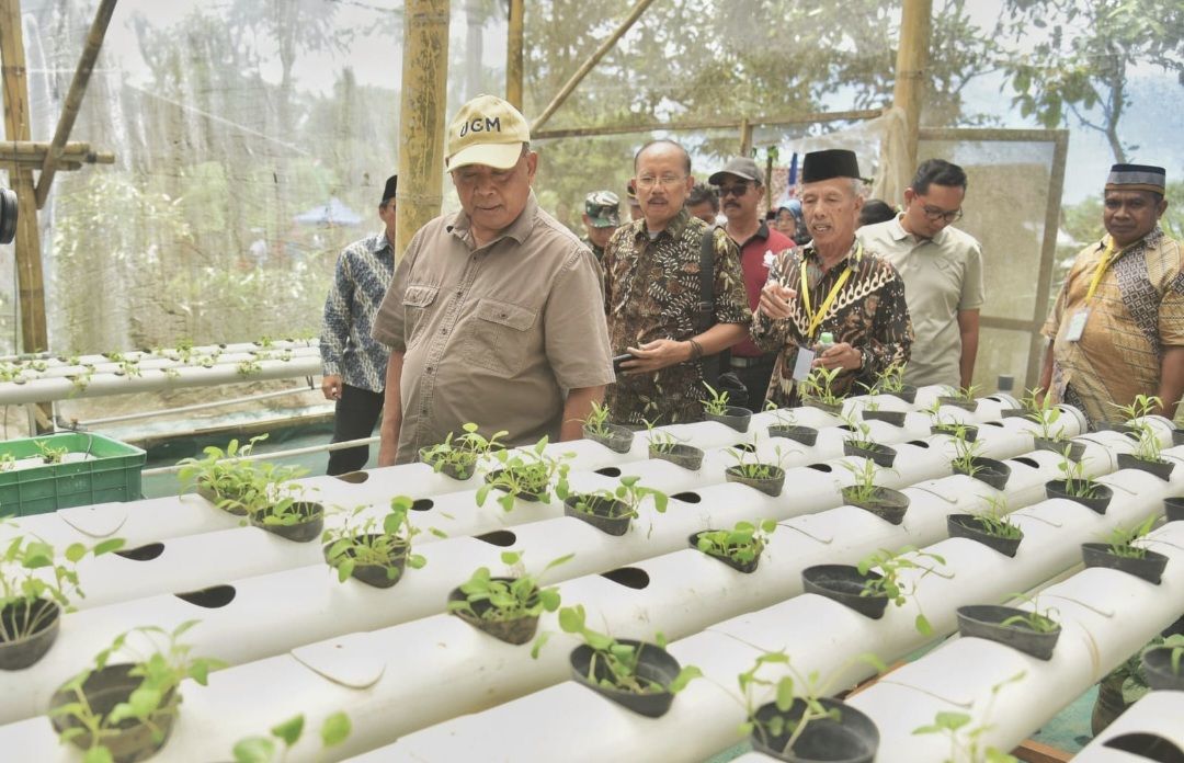 Telan Anggaran Rp 250 Juta, Sleman Soft Launching Taman Ketahanan Pangan Semar Ndalil di Girikerto