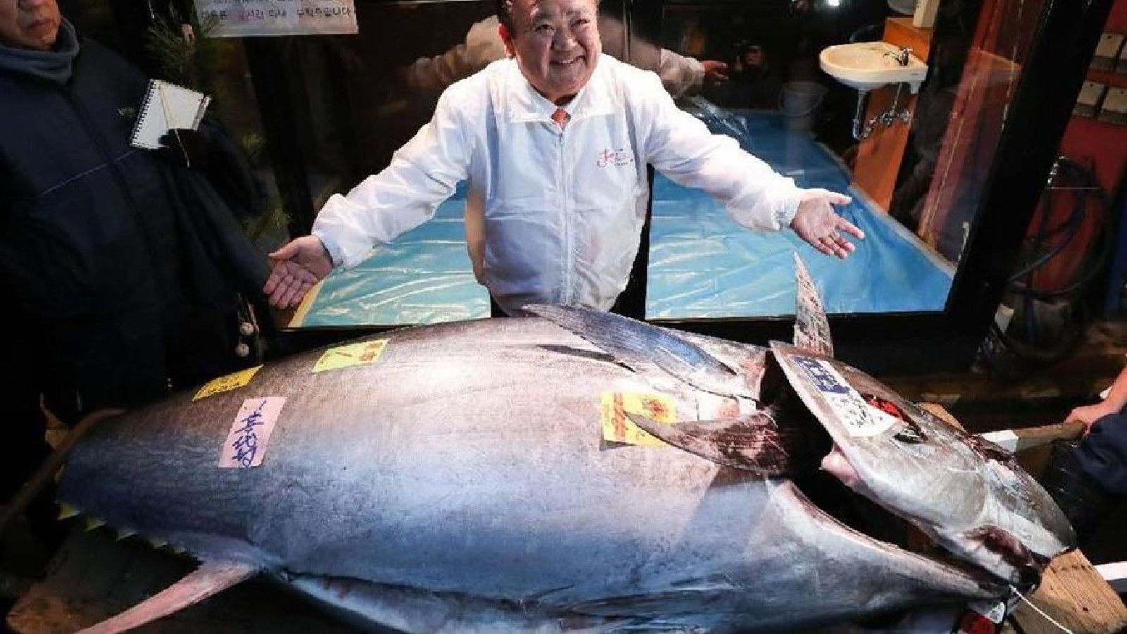 Restoran Sushi di Tokyo Pecahkan Rekor Pembelian Tuna Raksasa Seharga Rp54 Miliar