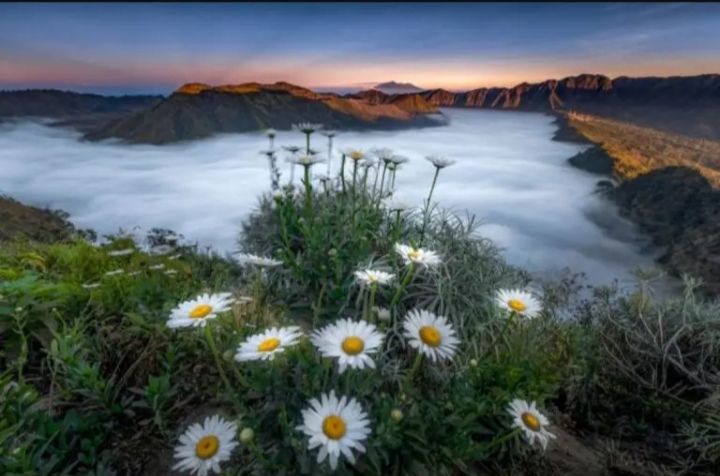 Pesona Wisata Alam Kabupaten Lumajang, Lengkap dari Gunung hingga Pantai