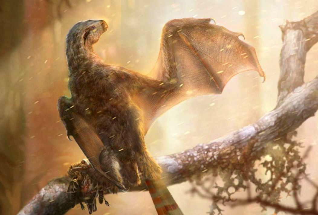Mengenal Ambopteryx Longibrachium: Spesies Dinosaurus Kecil Bersayap Kelalawar yang Ditemukan di China