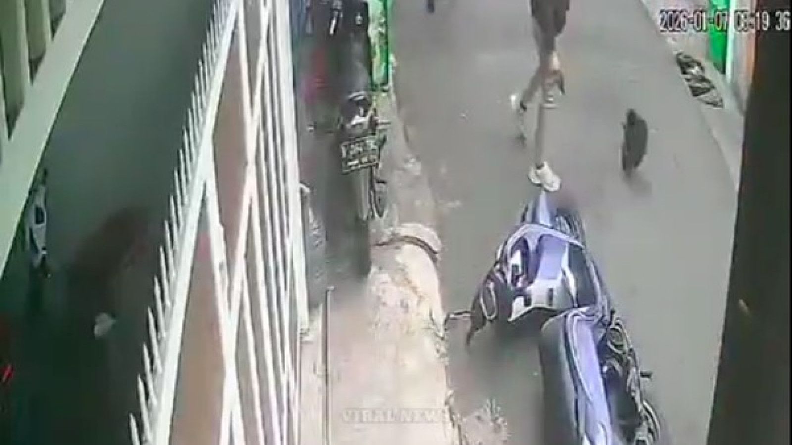 Polisi Berhasil Tangkap Pelaku Pencurian Motor dan Penembakan di Palmerah