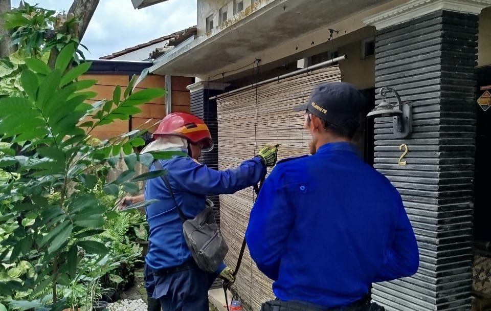 Geger Ular Sawo Sepanjang 1 Meter di Perumahan Warga Bantul