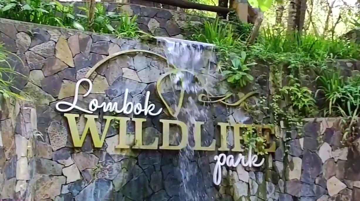 Wisata Edukasi di Lombok Wildlife Park, Liburan Seru Sambil Belajar Satwa