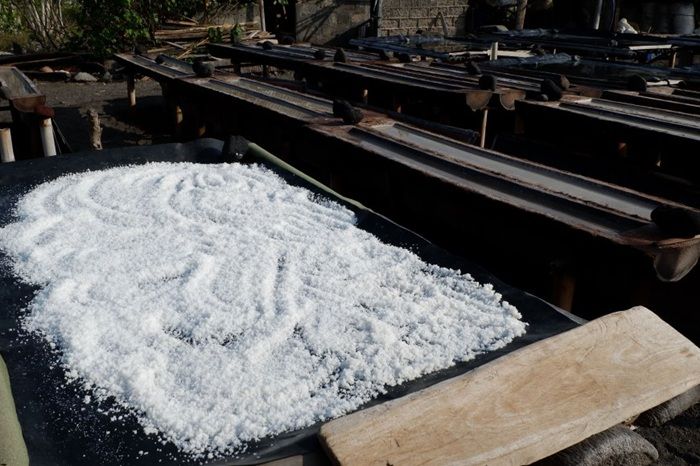 Bosan Pie Susu? Ini 6 Oleh-Oleh Bali Anti-Mainstream yang Estetik dan Bermakna