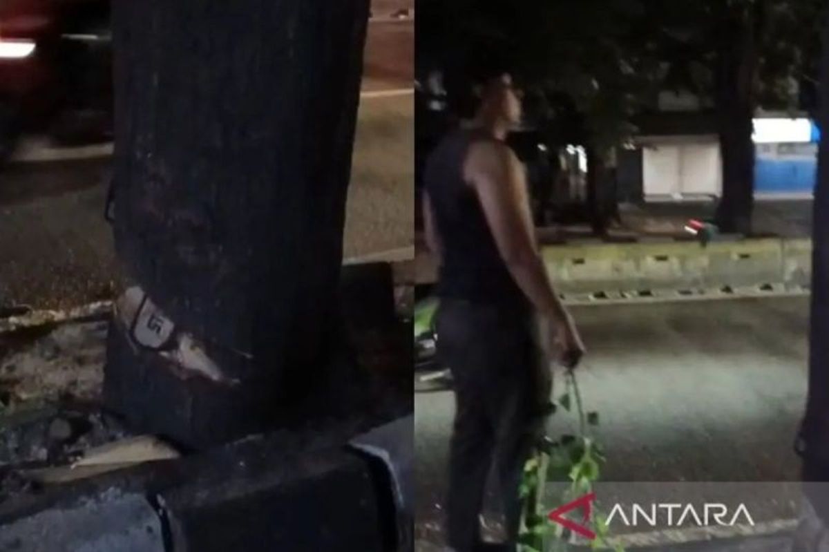 Pemprov DKI Bentuk Timsus untuk Selediki Penebangan Ilegal di Jakarta Selatan