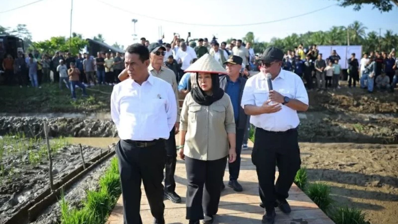 Rehabilitasi Lahan Sawah Pascabencana di Sumatera: Tanggung Jawab Pemerintah