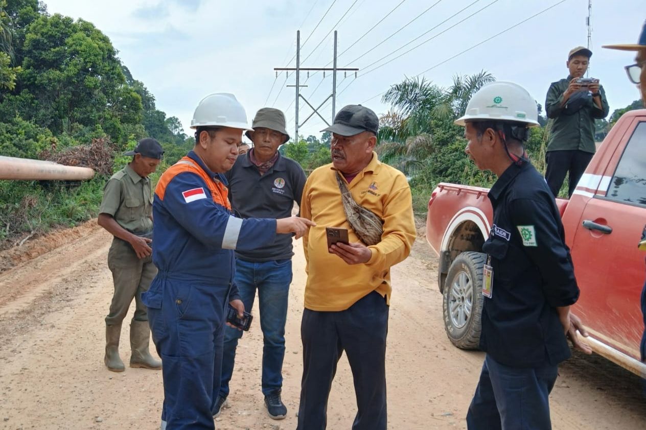 Harimau Sumatera Muncul di Siak, BBKSDA: Bukan Keluar Hutan, Itu Wilayah Jelajahnya