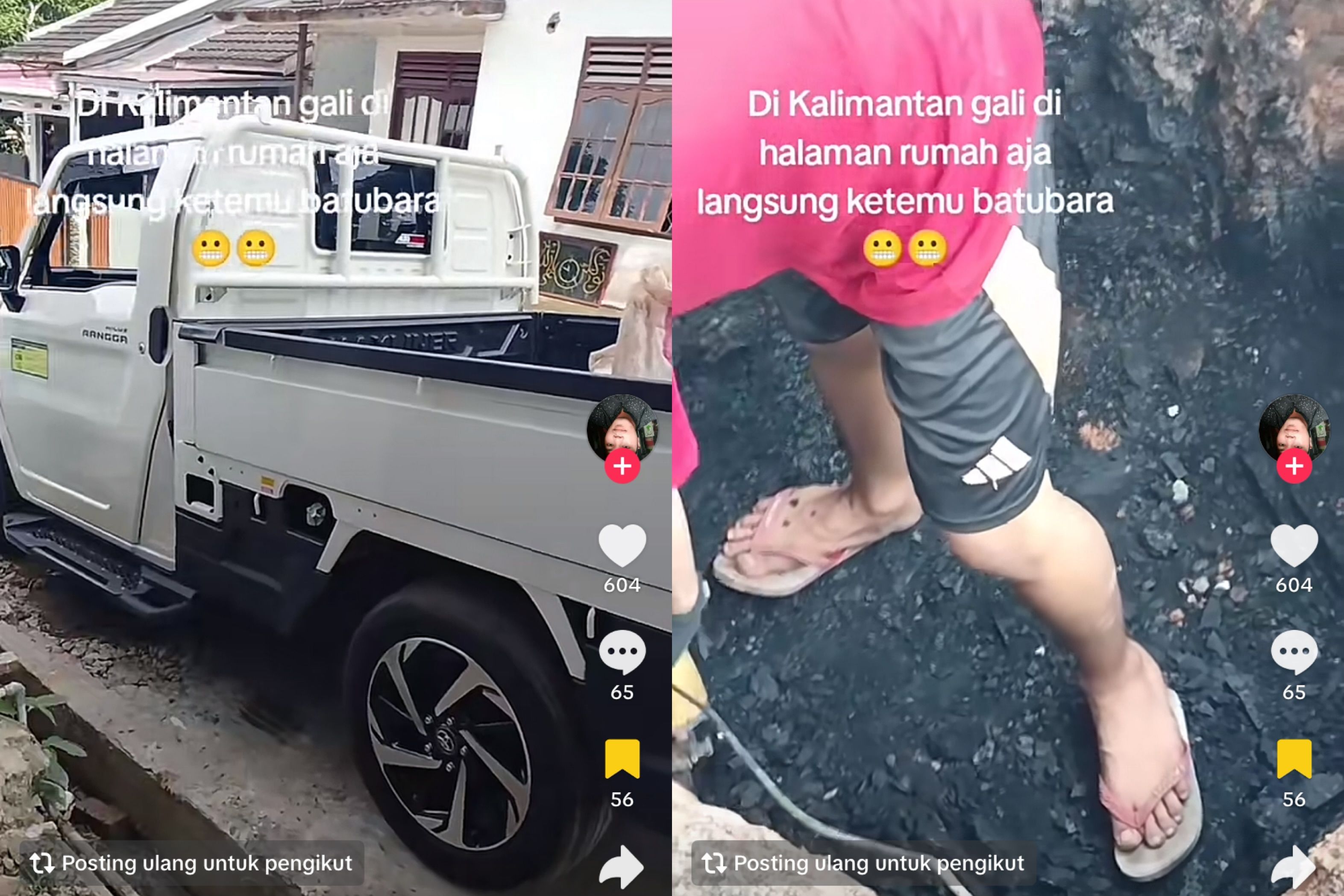 Viral! Video Gali Tanah Halaman Rumah di Kalimantan Langsung Ketemu Batubara