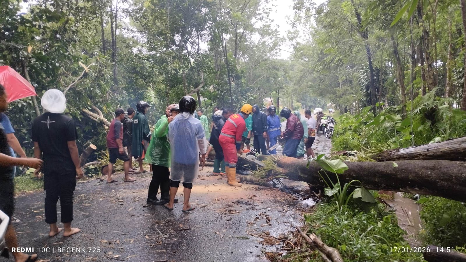 Guyuran Hujan Lebat di Sleman Hari Ini Picu Puluhan Pohon Tumbang, Rumah Hingga Akses Jalan Terdampak