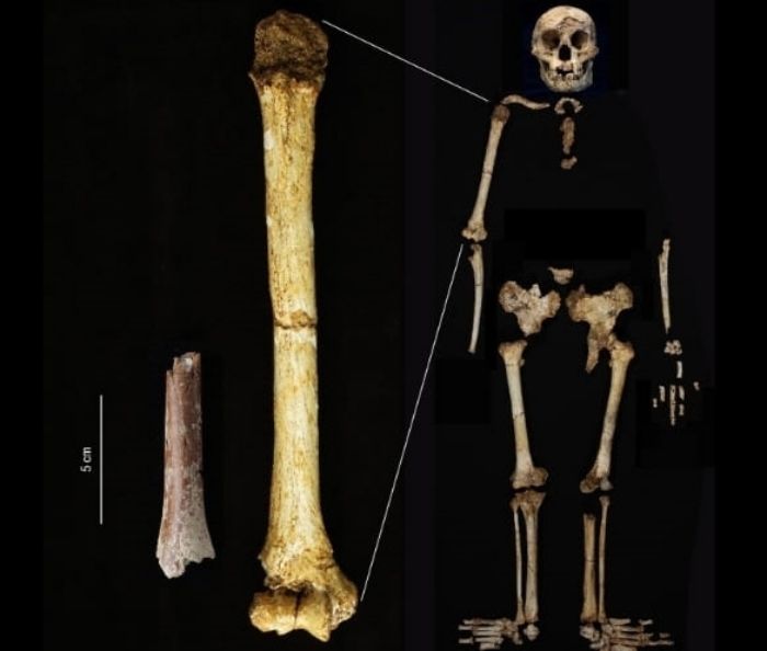 Mengenal Homo Floresiensis, Manusia Purba Terkecil dari Flores