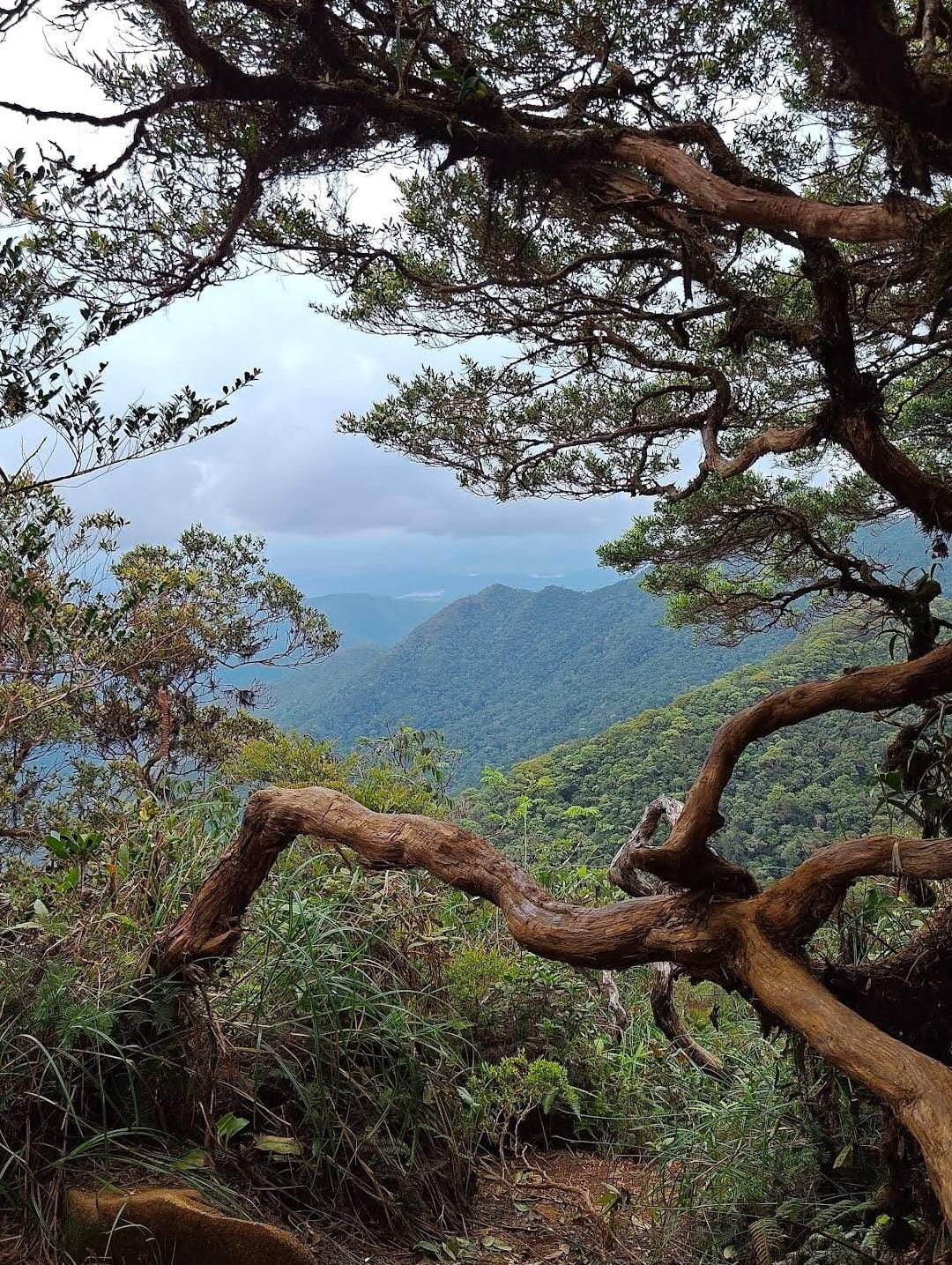 Gunung Kahung: Surga Tersembunyi di Kalsel dengan Panorama Menakjubkan