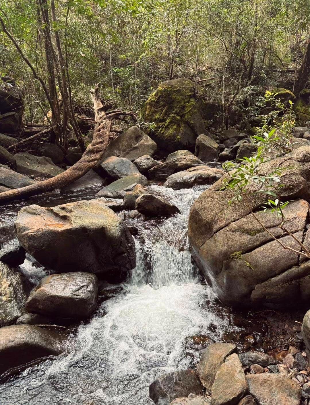 Gunung Kahung: Surga Tersembunyi di Kalsel dengan Panorama Menakjubkan