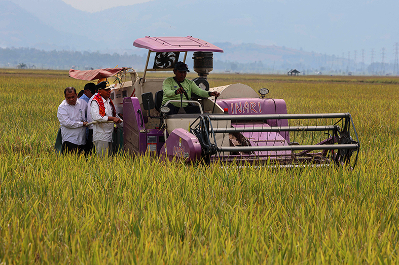 Pemprov Sumut Hadir di Sawah, Panen Raya Karo Angkat Ekonomi Petani