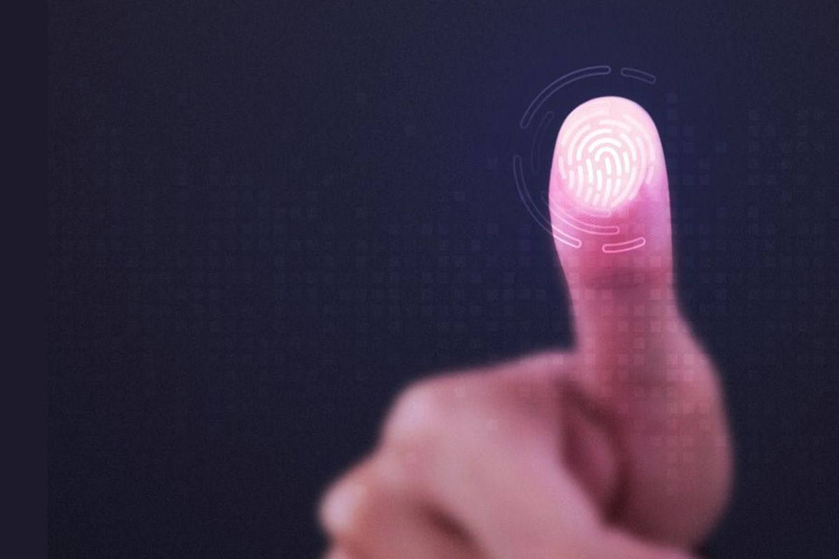 Mengenal Fingerprint Ultrasonic, Berikut Cara Kerja, Kelebihan, dan Kekurangannya