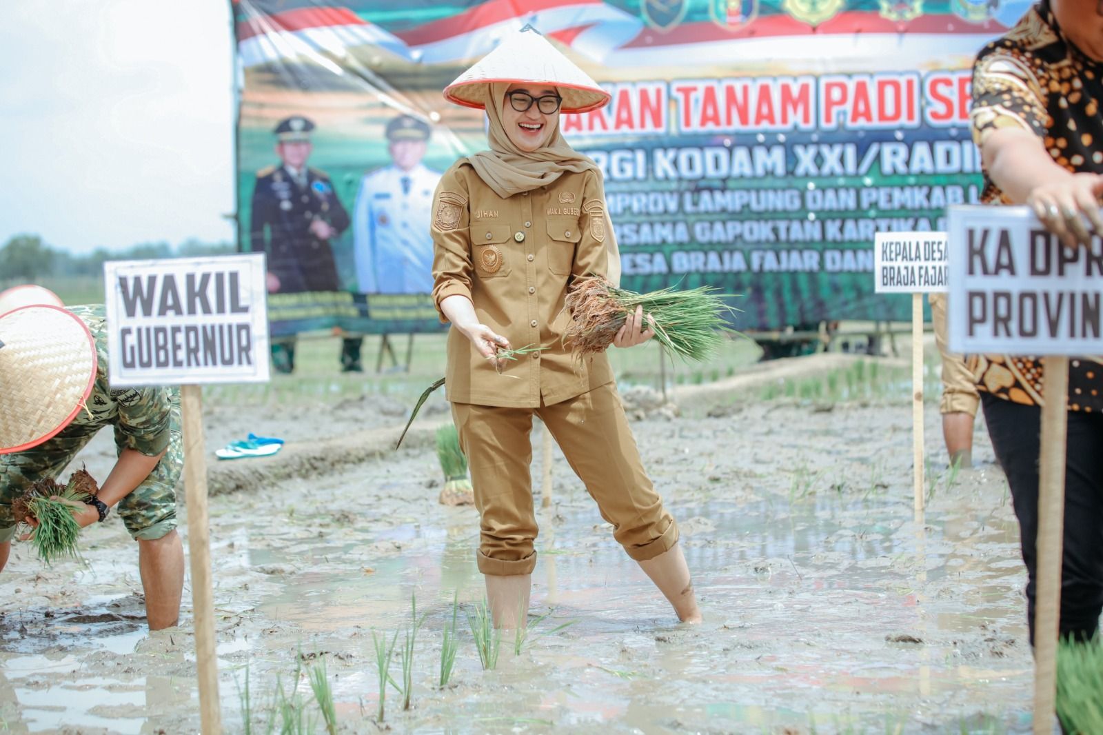 Tanam Padi Serentak 2026, Lampung Targetkan Produksi 3,3 Juta Ton