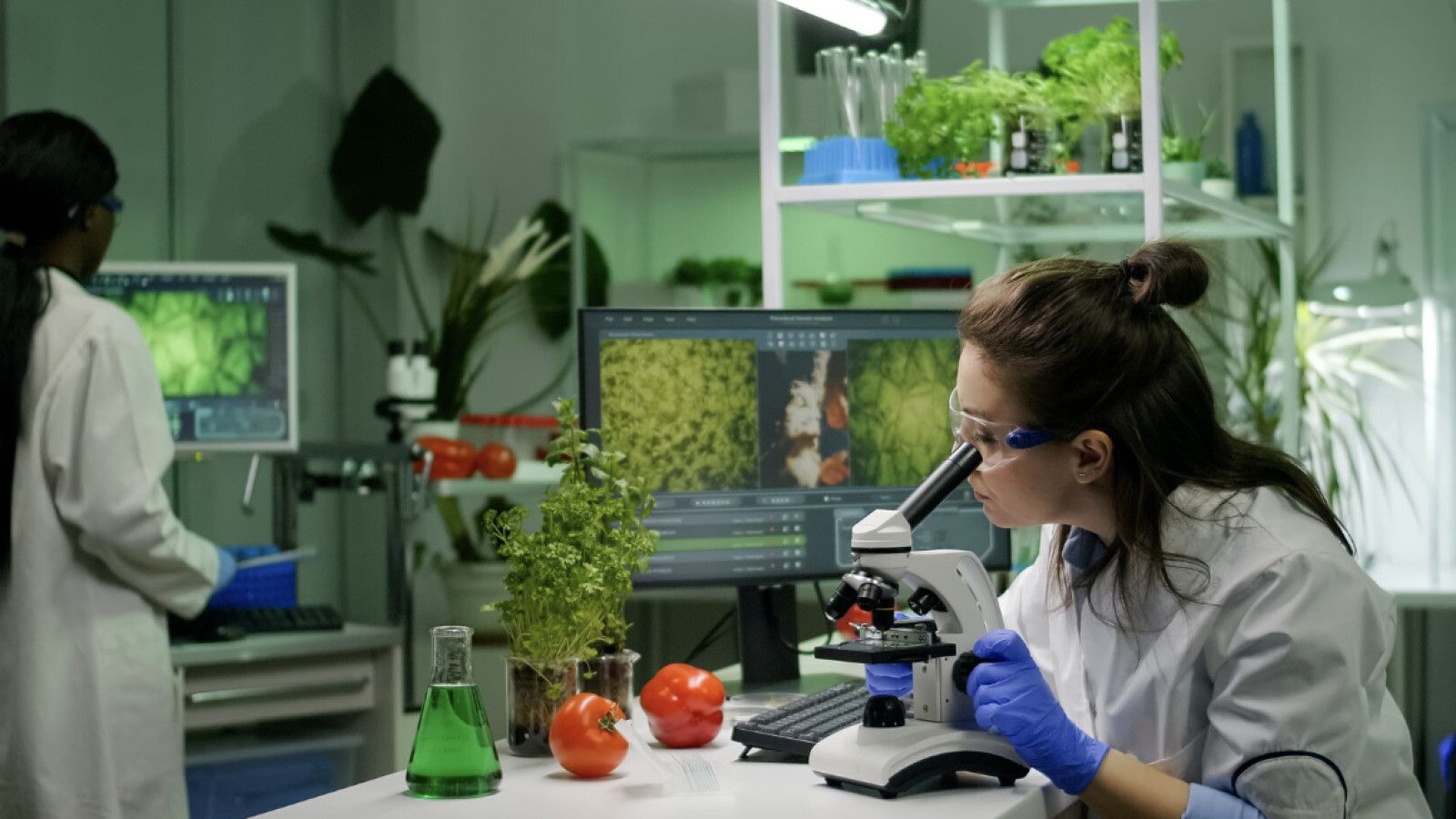 Peran Bioteknologi dalam Memajukan Kesehatan dan Pertanian di Indonesia