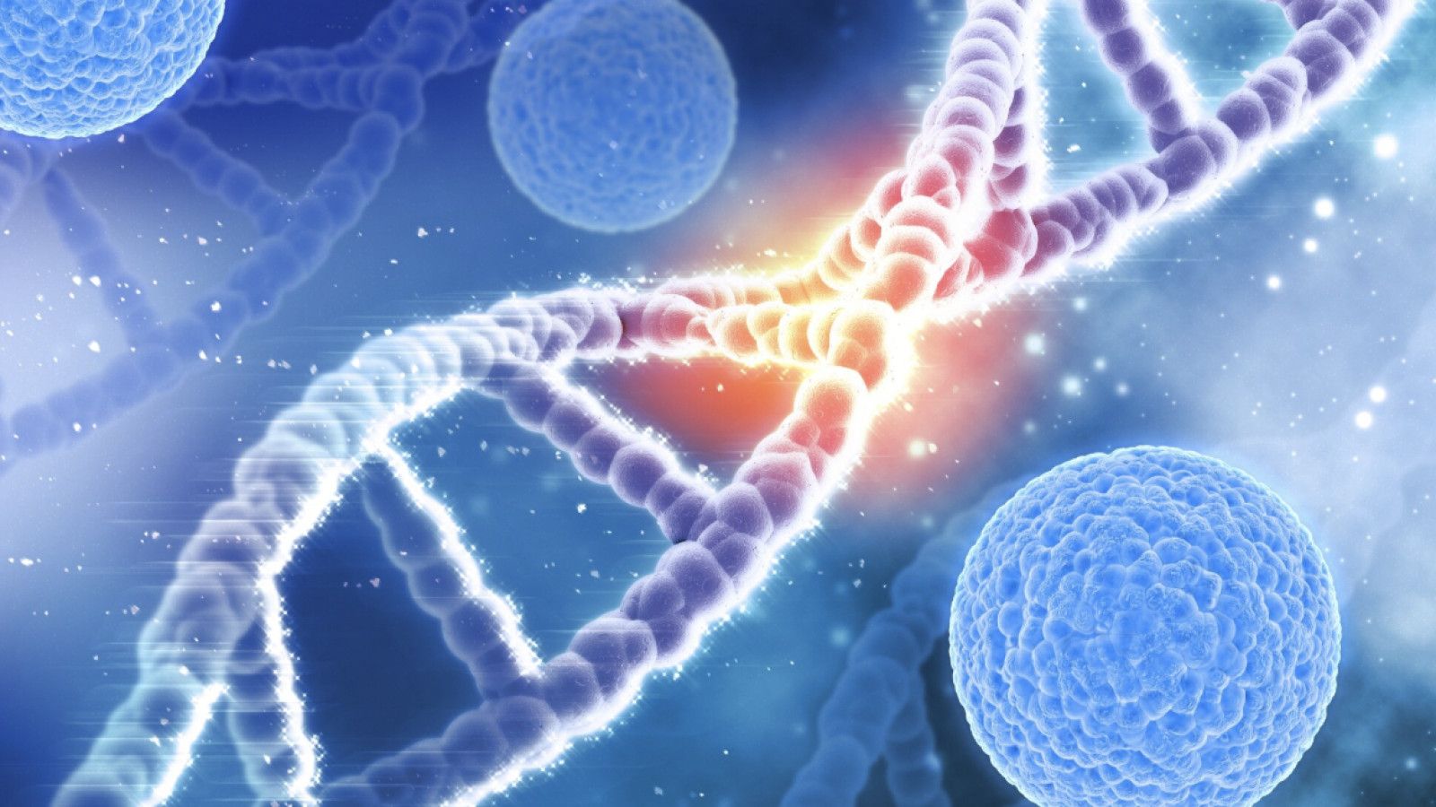 Peran Stem Cell dalam Penyembuhan: Peluang dan Tantangan ke Depan