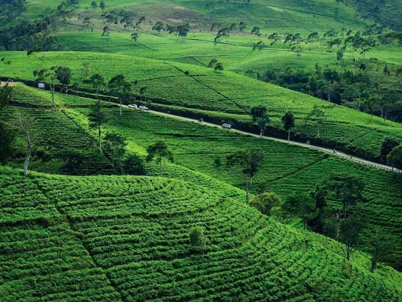 7 Tempat Wisata Kemuning Karanganyar yang Instagramable dan Wajib Dikunjungi saat Liburan