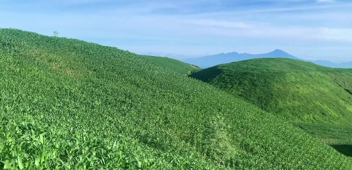 Camping Seru di Bukit Teletubbies dan Pantai Kura-Kura Ekas Lombok Timur
