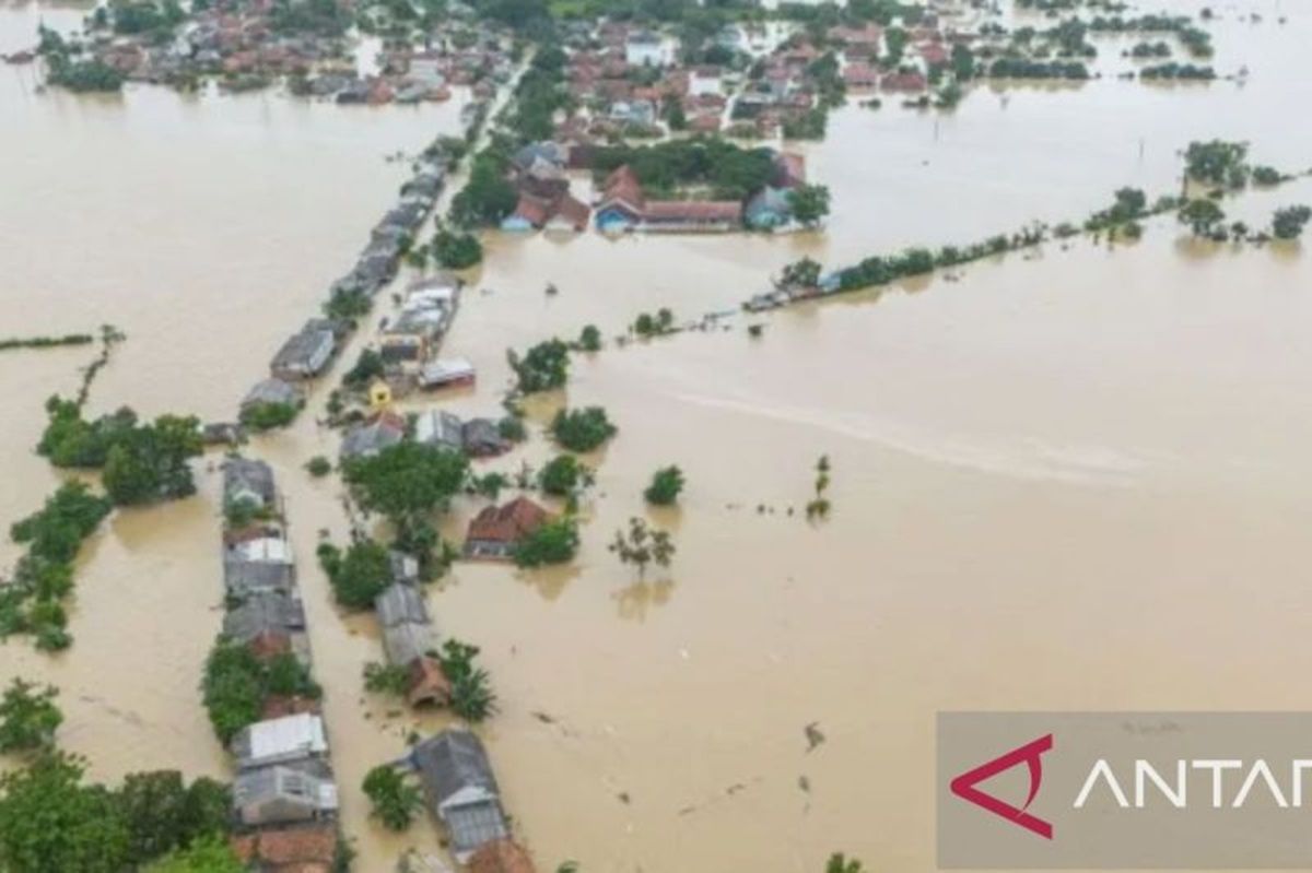 Ribuan Hektare Sawah di Karawang Terendam Banjir Akibat Cuaca Ekstrem