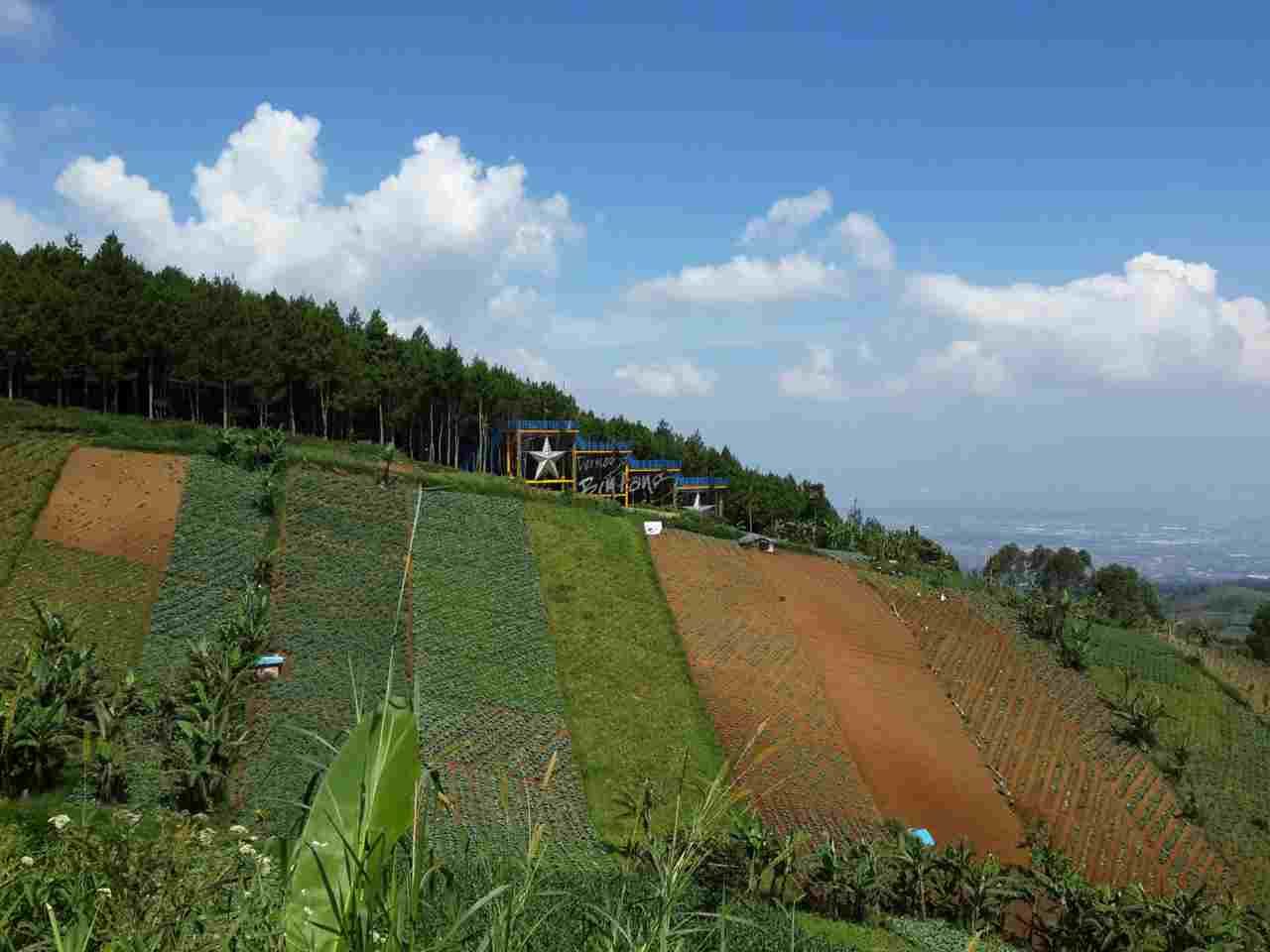 Rekomendasi Tempat Camping Terbaik di Jawa Barat untuk Wisata Alam