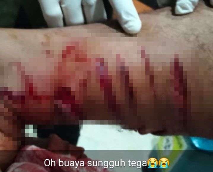 Heboh Info Warga Digigit Buaya di Eks Dermaga Loktuan, Lurah dan Bhabinkamtibmas Masih Telusuri Kebenarannya