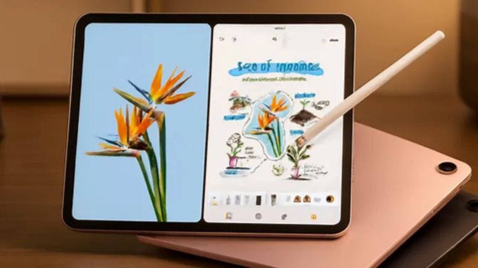 Oppo Perkenalkan Pad 5 dan Watch S untuk Memenuhi Kebutuhan Digital di Indonesia