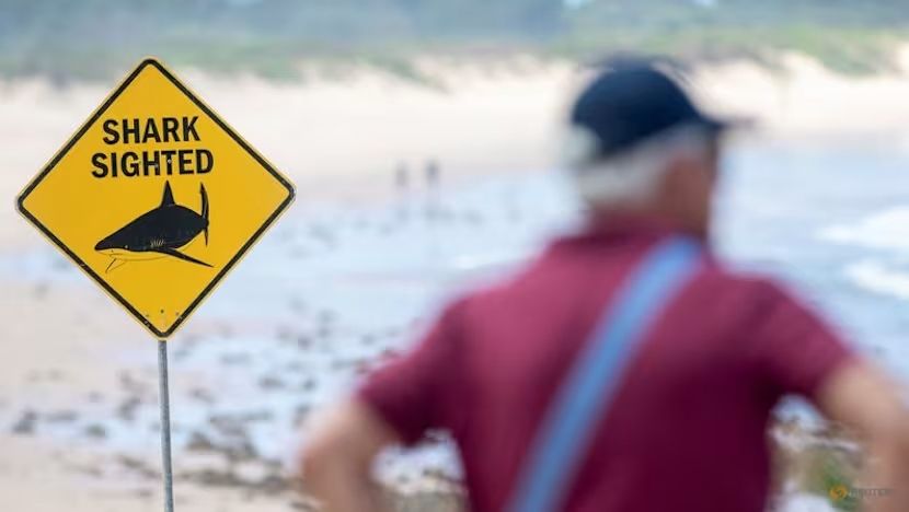 Bocah 12 Tahun Tewas Diserang Hiu di Sydney, Pantai Ditutup Usai Banyak Insiden