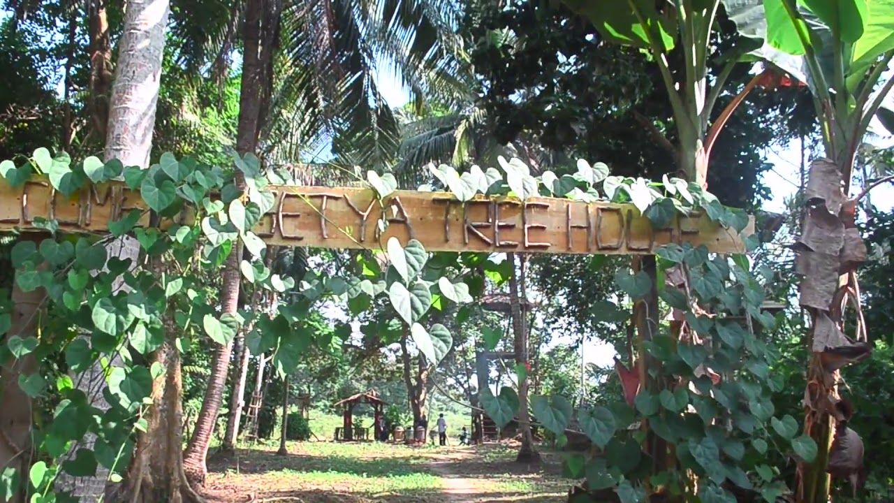 Rekomendasi Beberapa Tempat Camping di Jambi Dengan Suasana Alamnya
