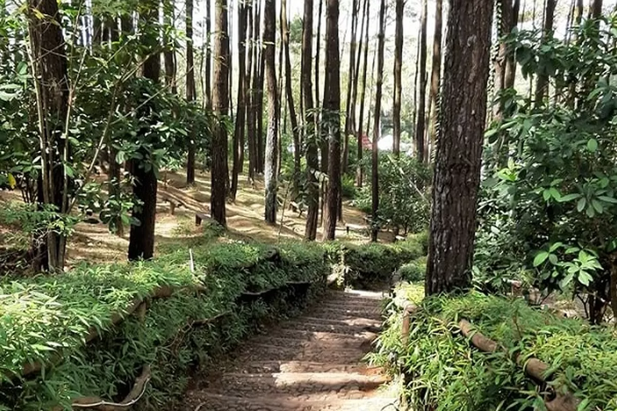 Bosan ke Mall? Ini 5 Cara Seru Menghabiskan Weekend di Seberang Kota Jambi yang Instagramable!
