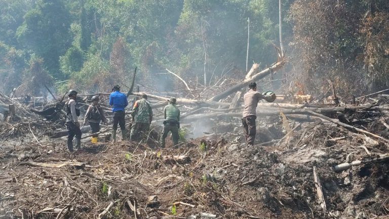 Karhutla Aceh Selatan Meluas: 30 Hektare Lahan Gambut Terbakar