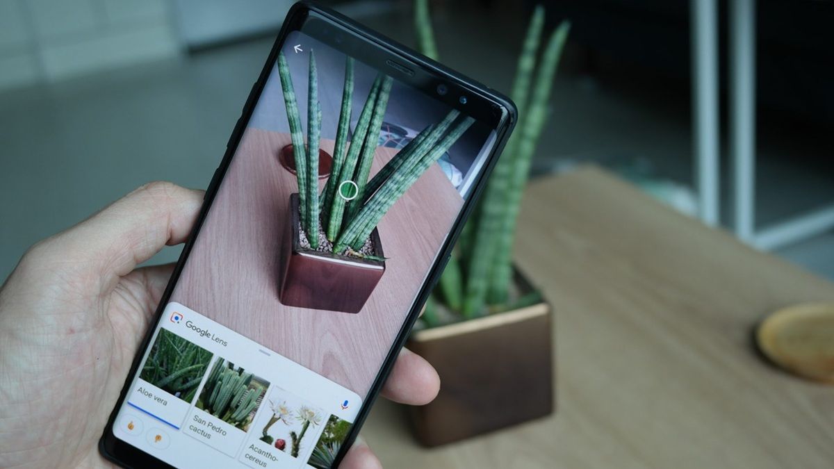 Apa itu Google Lens? Ini Cara Install di Android dan iPhone Serta Manfaatnya untuk Sehari-hari