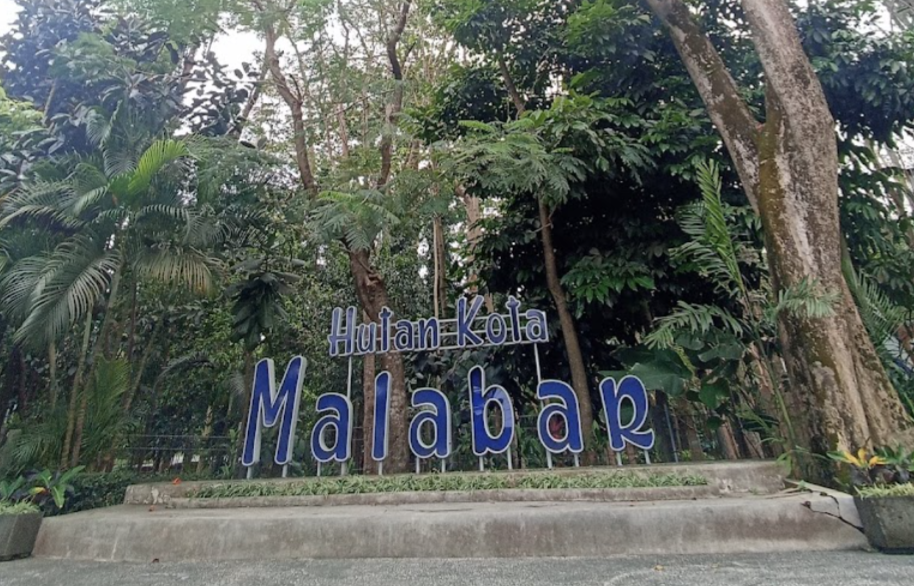 Hutan Malabar, Paru-Paru Hijau yang Menjaga Napas Kota Malang