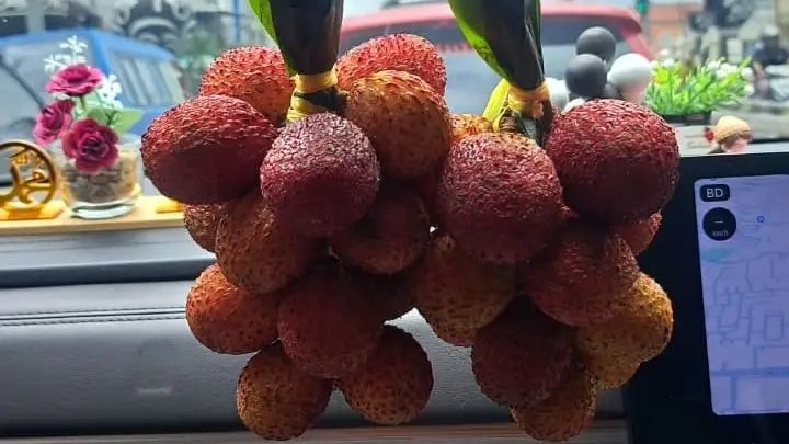 Niat Hati Ingin Beli Leci, Ibu Ini Kena Tipu Malah Dapat Rambutan