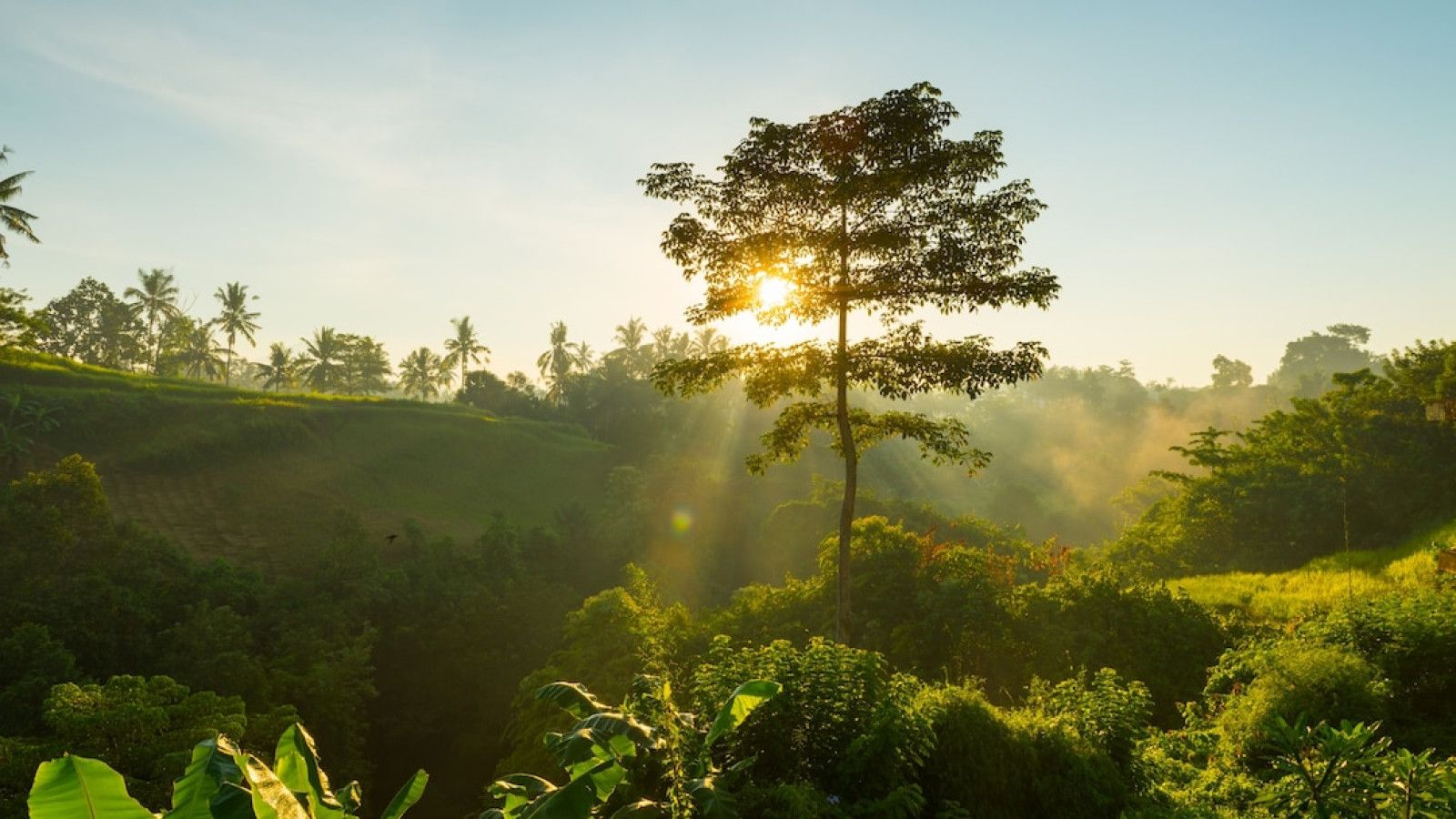 Peran Alam dalam Memelihara Keseimbangan Ekosistem