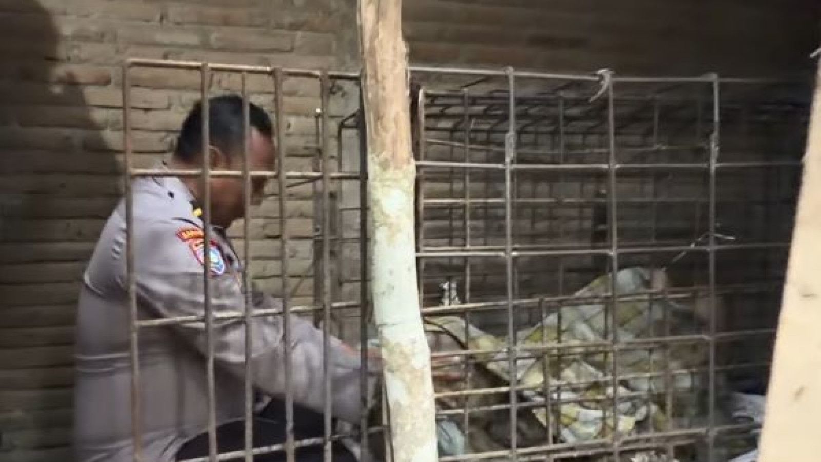 Tersingkapnya Kisah Mbah Kirno: 20 Tahun Terasing karena Mitos