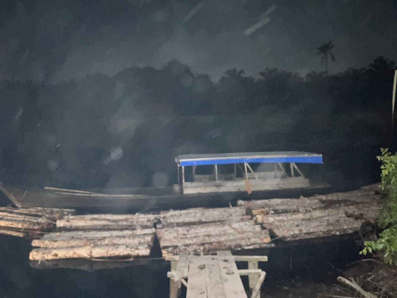 Polres Bengkalis Ungkap Dugaan Illegal Logging di Sungai Nibung, Tiga Orang Ditangkap
