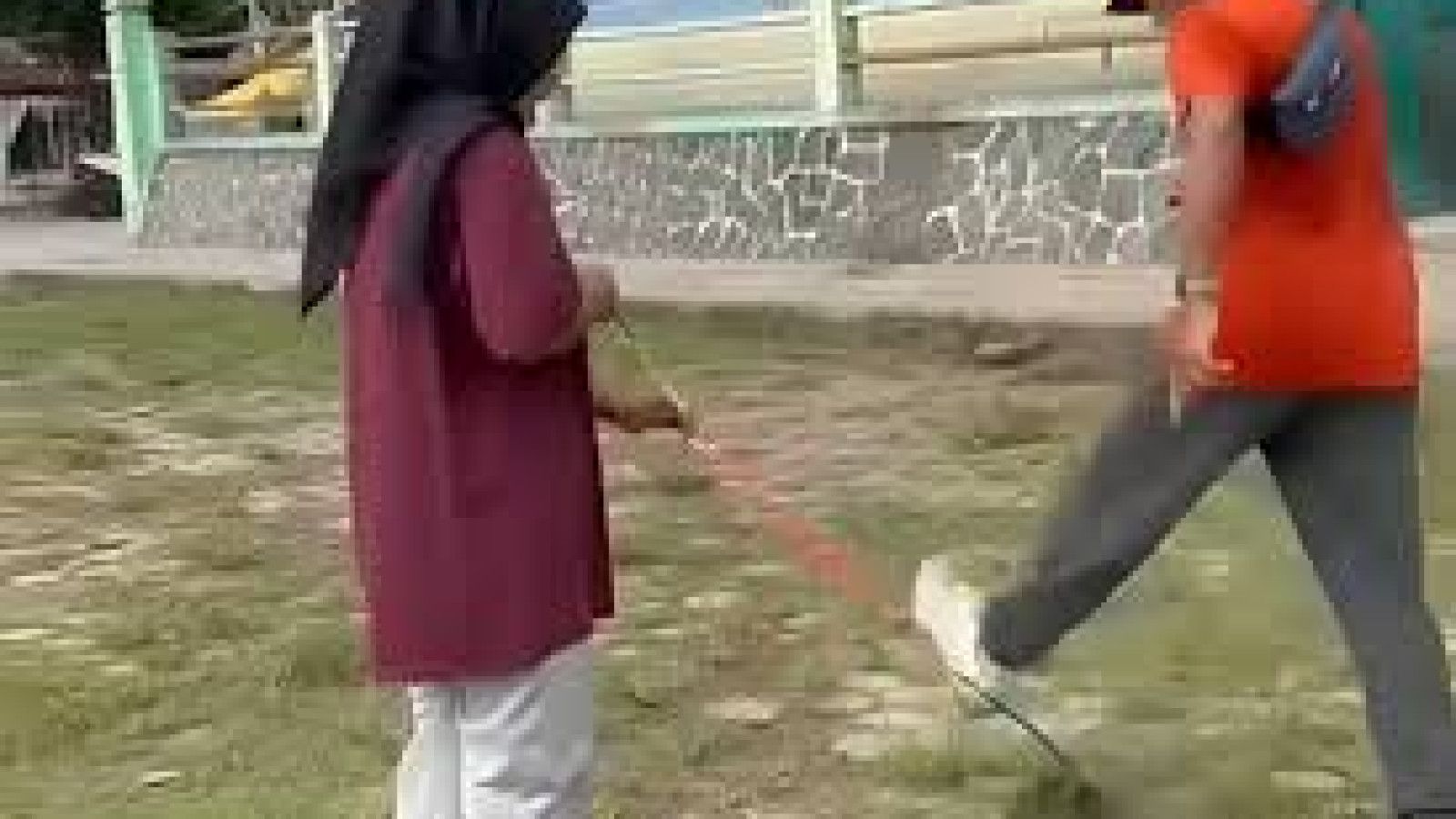 Viral, Tindak Kekerasan Terhadap Kucing Setelah Dilakukan Pensiunan ASN di Blora
