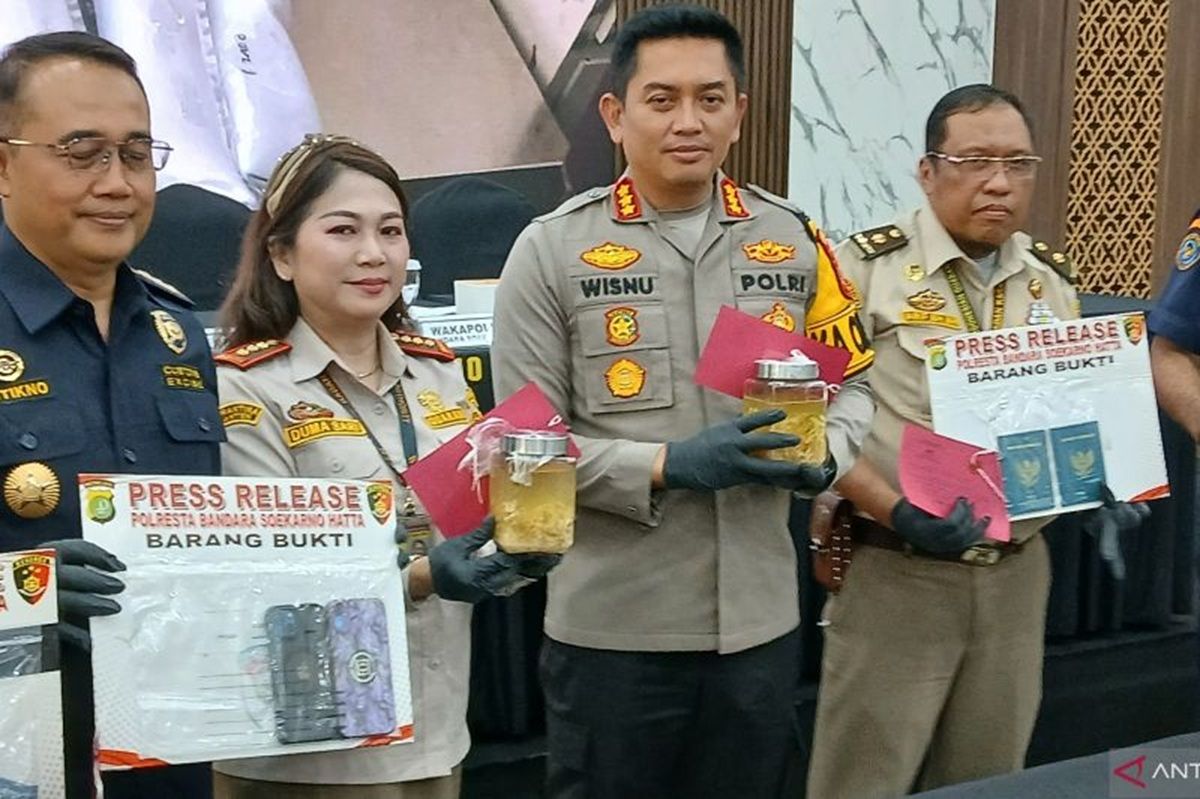 Polisi Bandara Berhasil Gagalkan Penyelundupan Benih Lobster Ilegal Senilai Rp4,2 Miliar!