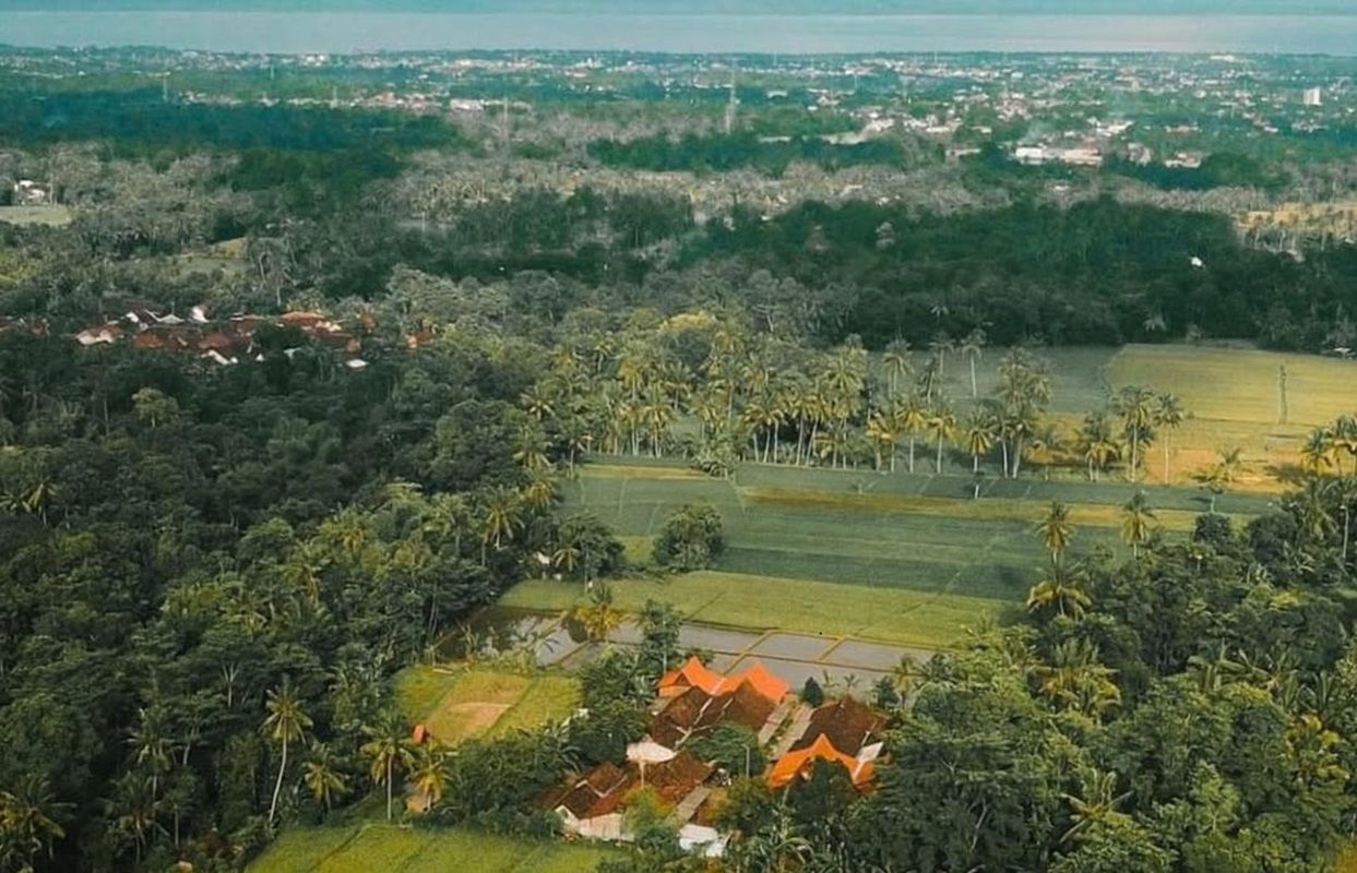 Kenalan dengan Desa Kemiren Banyuwangi: Tempat Wisata dengan Segudang Budaya