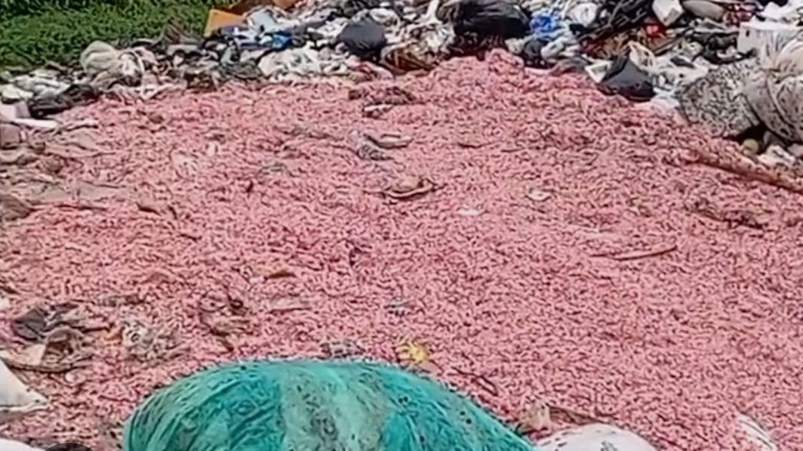 Uang Asli Ditemukan di Tempat Pembuangan Sampah di Bekasi