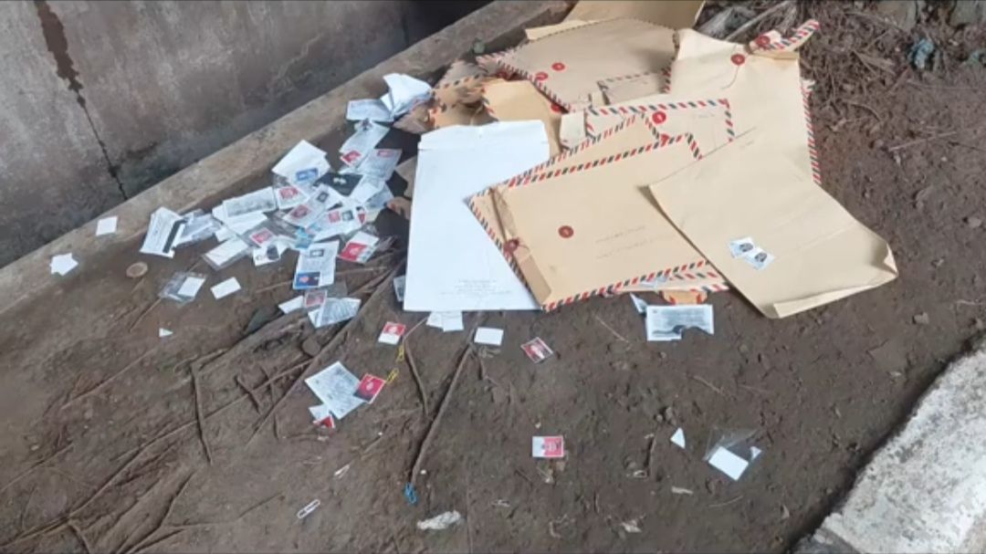 Cewek Ini Rekam Pemandangan Tumpukan Surat Lamaran Berserakan di Tempat Sampah, Jadi Perbincangan Warganet