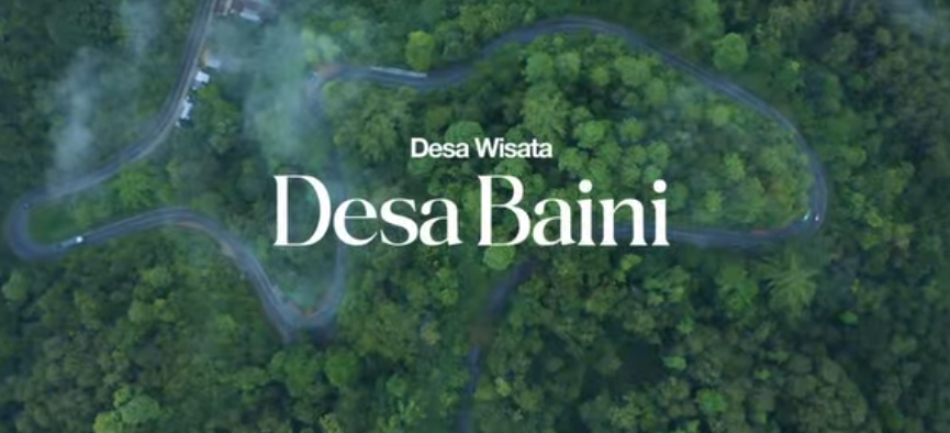 Butuh Healing? Nikmati Sinonggi dan Pokea di Hutan Pinus Desa Baini Konawe